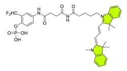 Chemosensors 11 00155 i004