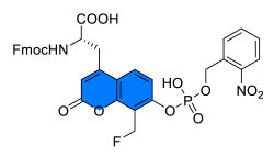 Chemosensors 11 00155 i014