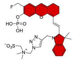 Chemosensors 11 00155 i018