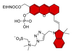 Chemosensors 11 00155 i019