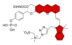 Chemosensors 11 00155 i020