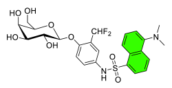 Chemosensors 11 00155 i022