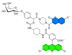 Chemosensors 11 00155 i023