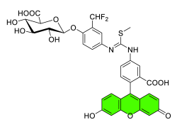 Chemosensors 11 00155 i024