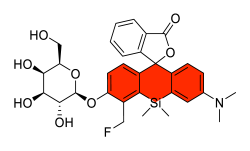 Chemosensors 11 00155 i034