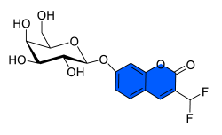Chemosensors 11 00155 i036