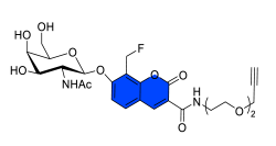 Chemosensors 11 00155 i041