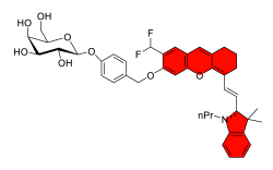 Chemosensors 11 00155 i045
