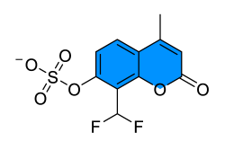 Chemosensors 11 00155 i056