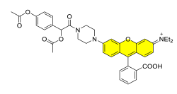 Chemosensors 11 00155 i066