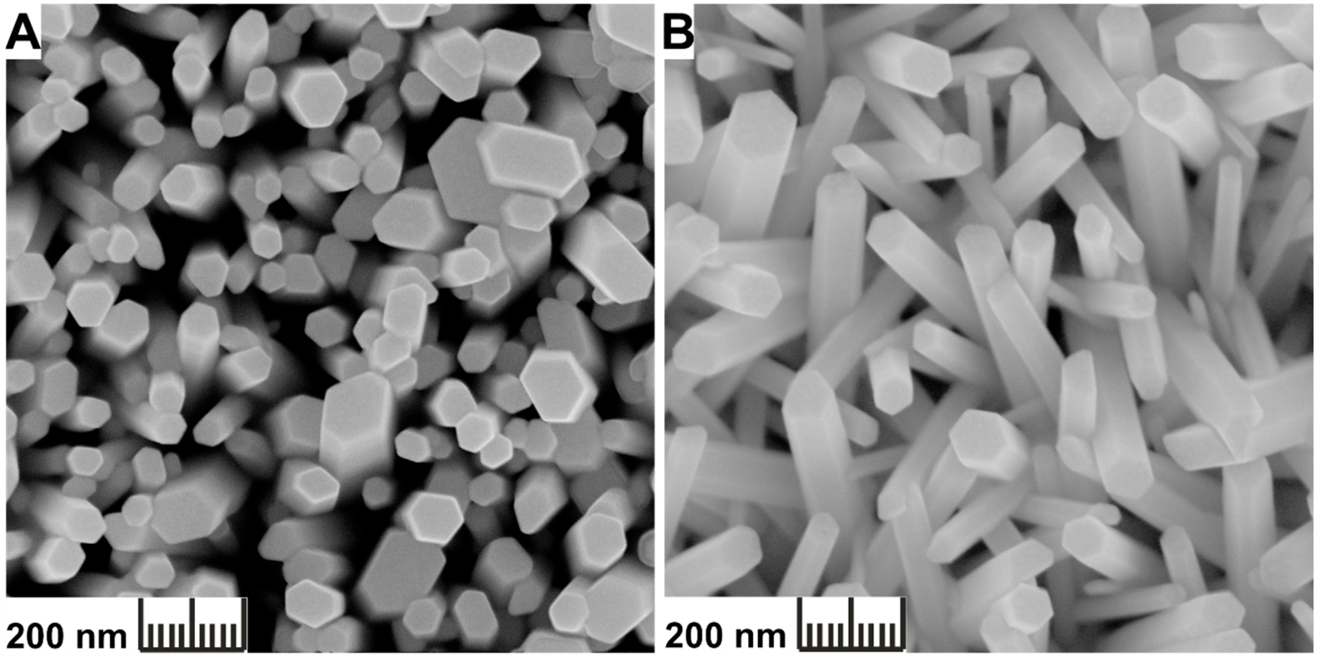 Chemosensors 11 00156 g003