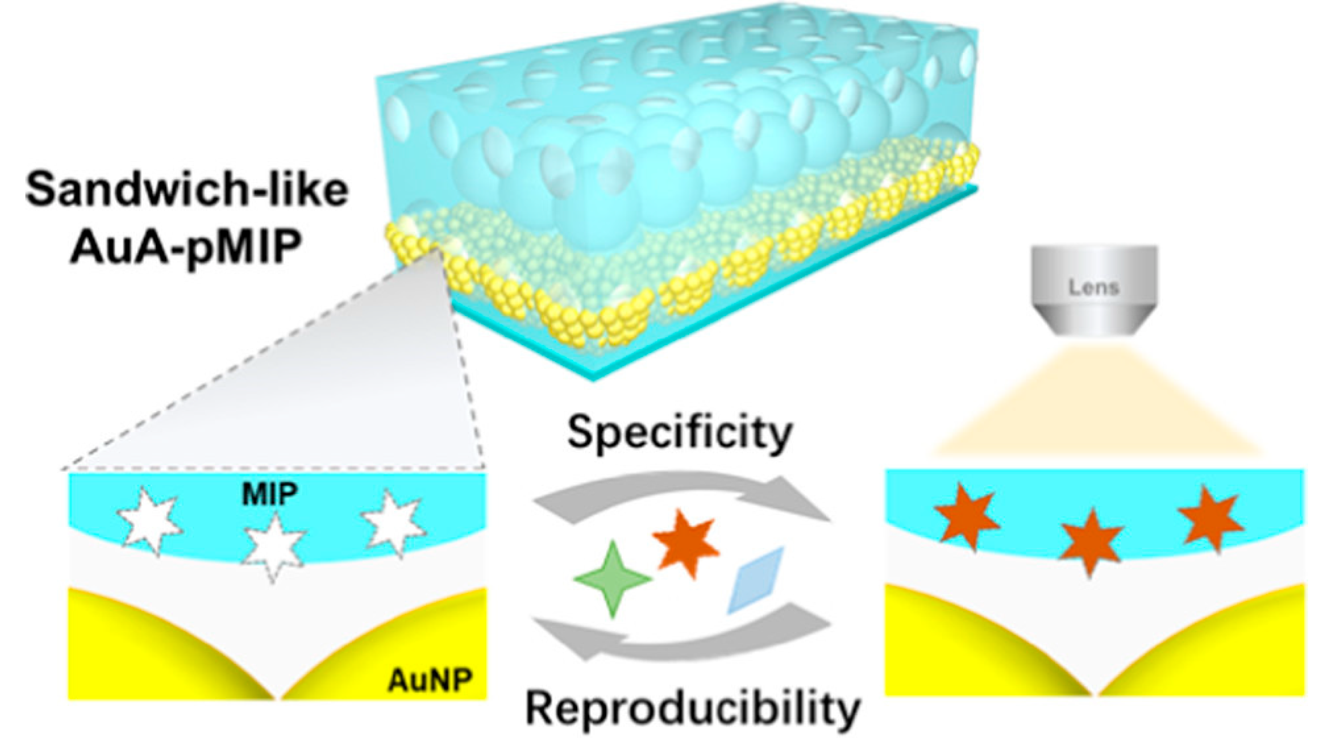Chemosensors 11 00168 g007 Chemosensors 11 00168 g007