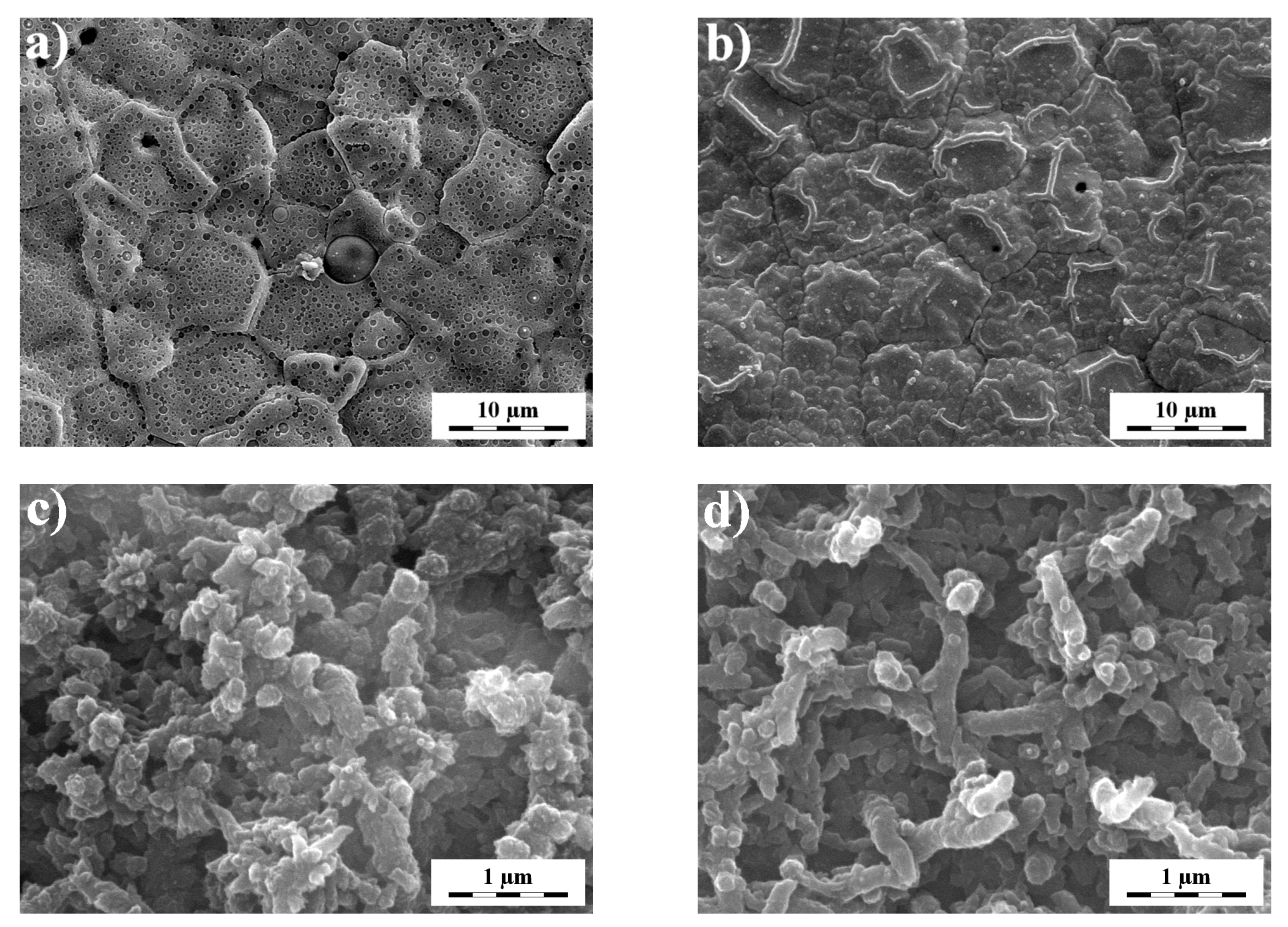 Chemosensors 11 00170 g003