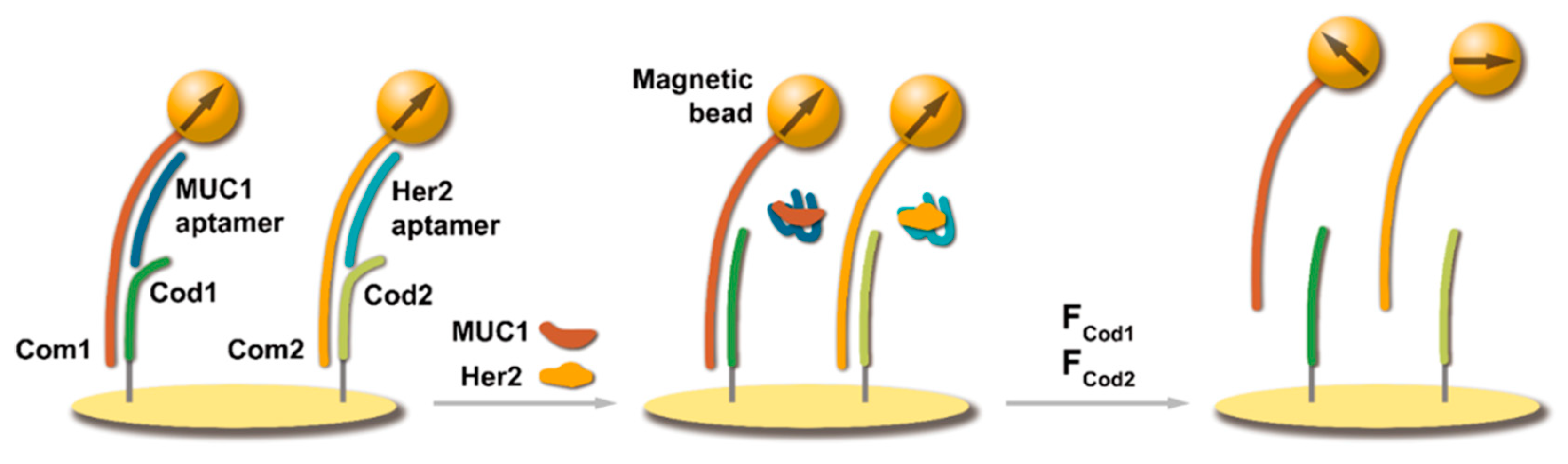 Chemosensors 11 00172 g002