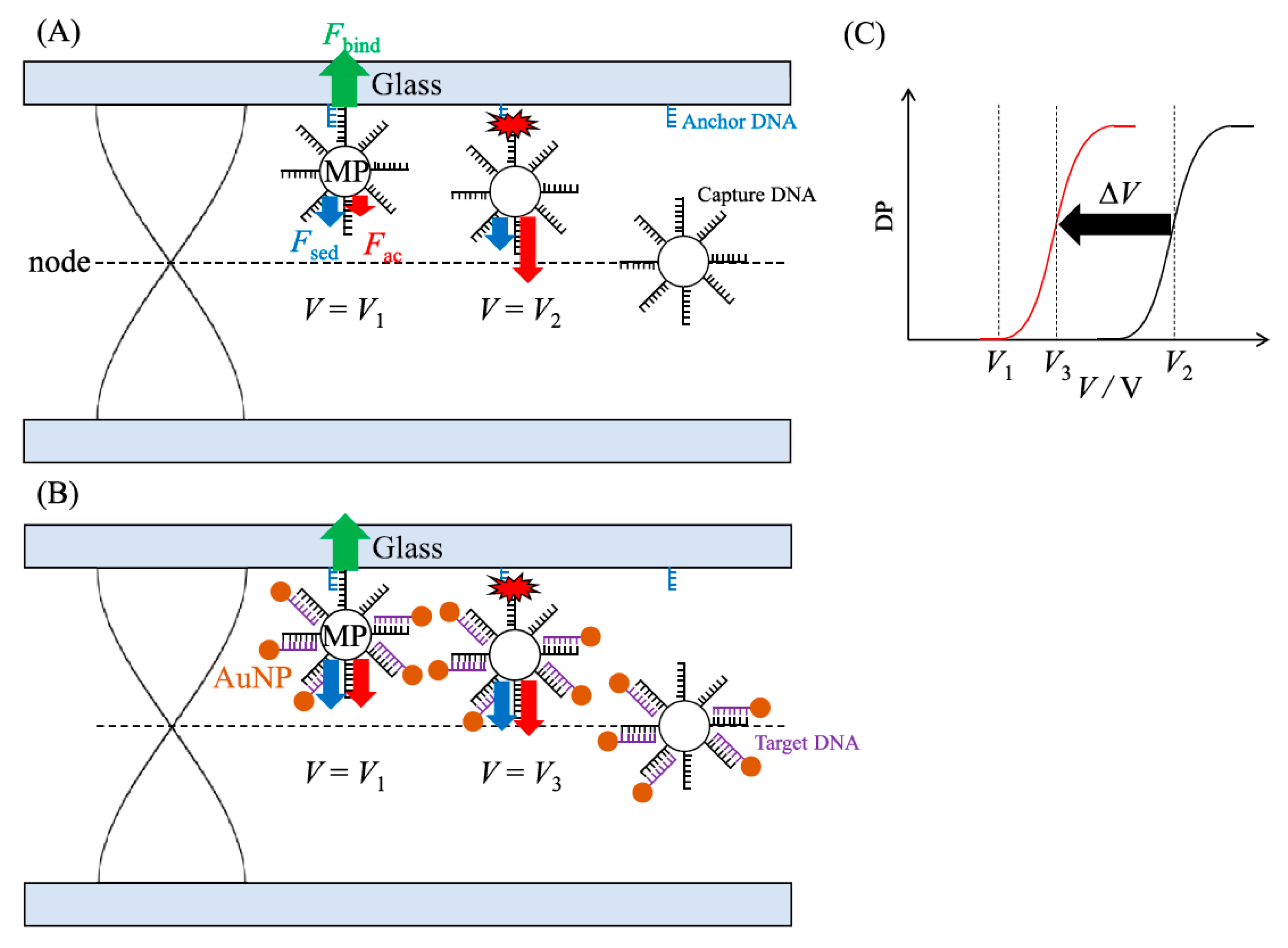 Chemosensors 11 00172 g003