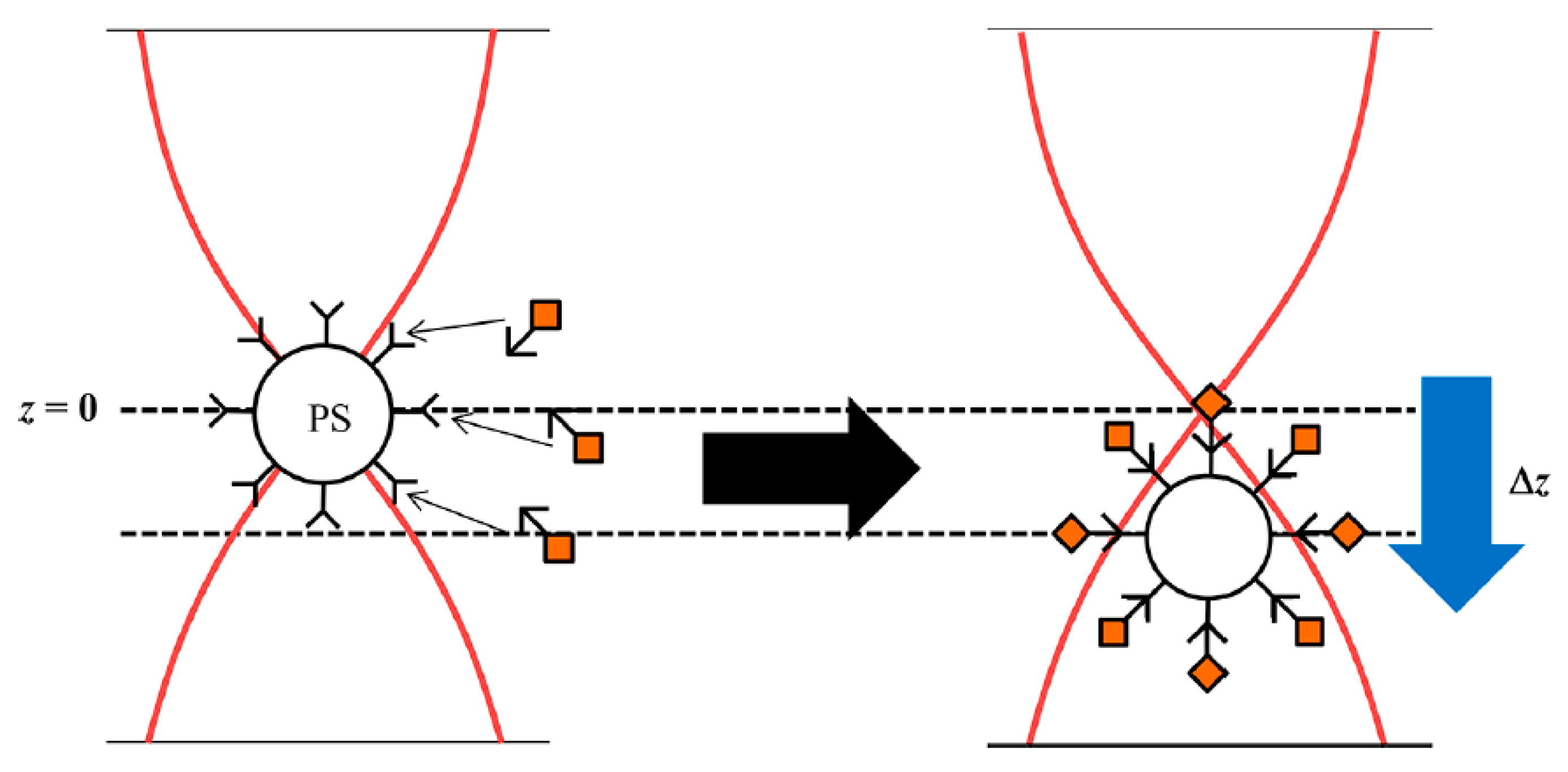 Chemosensors 11 00172 g006
