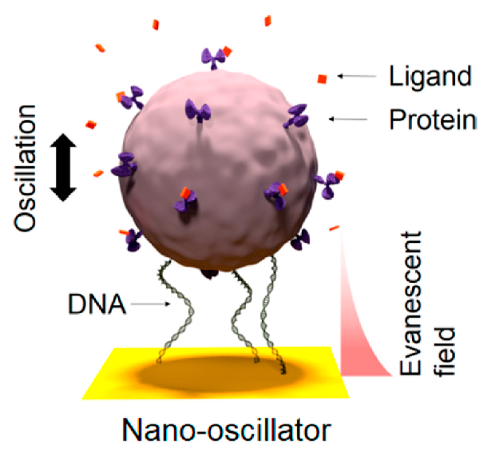 Chemosensors 11 00172 g009