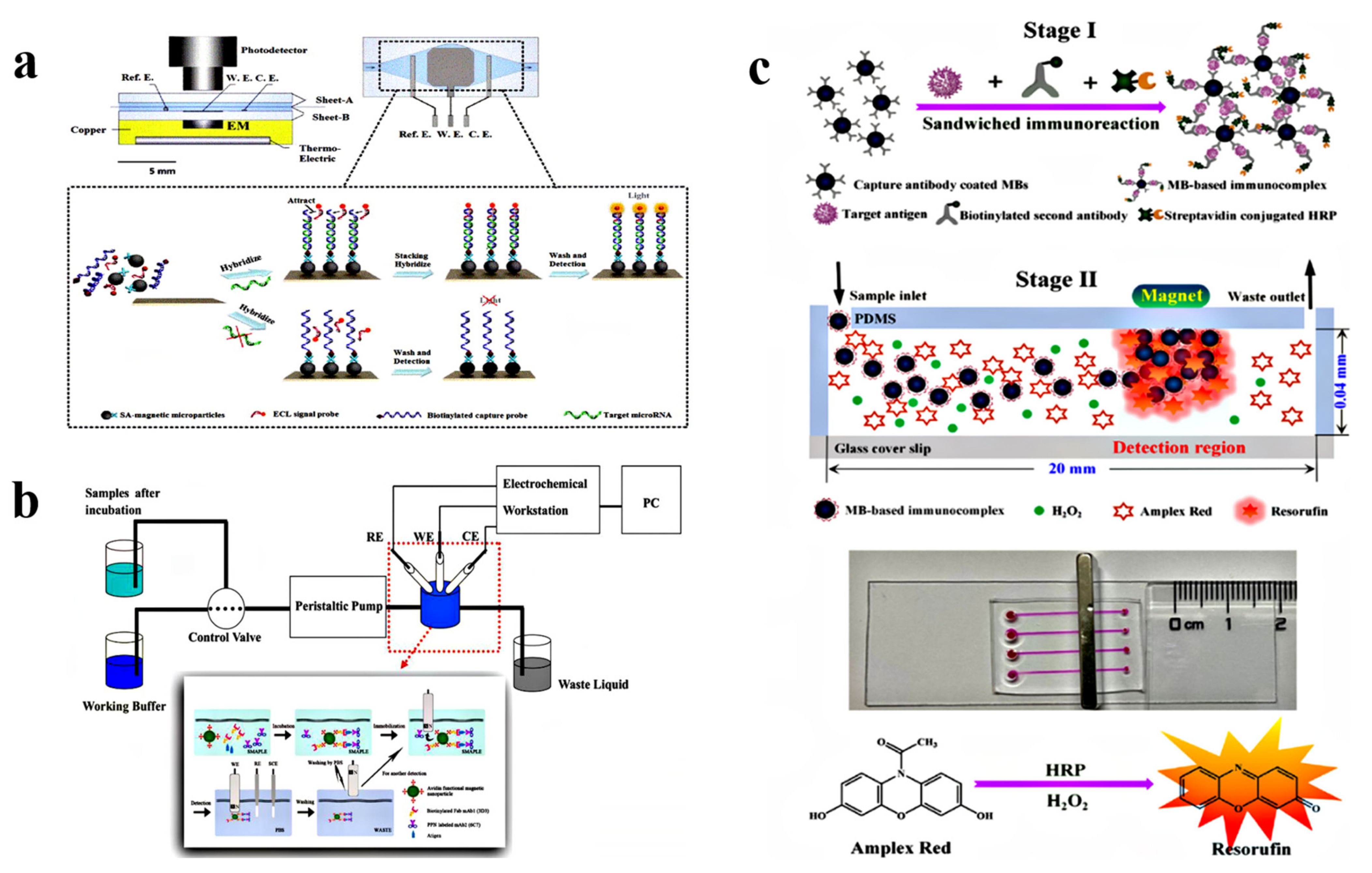 Chemosensors 11 00173 g005 Chemosensors 11 00173 g005