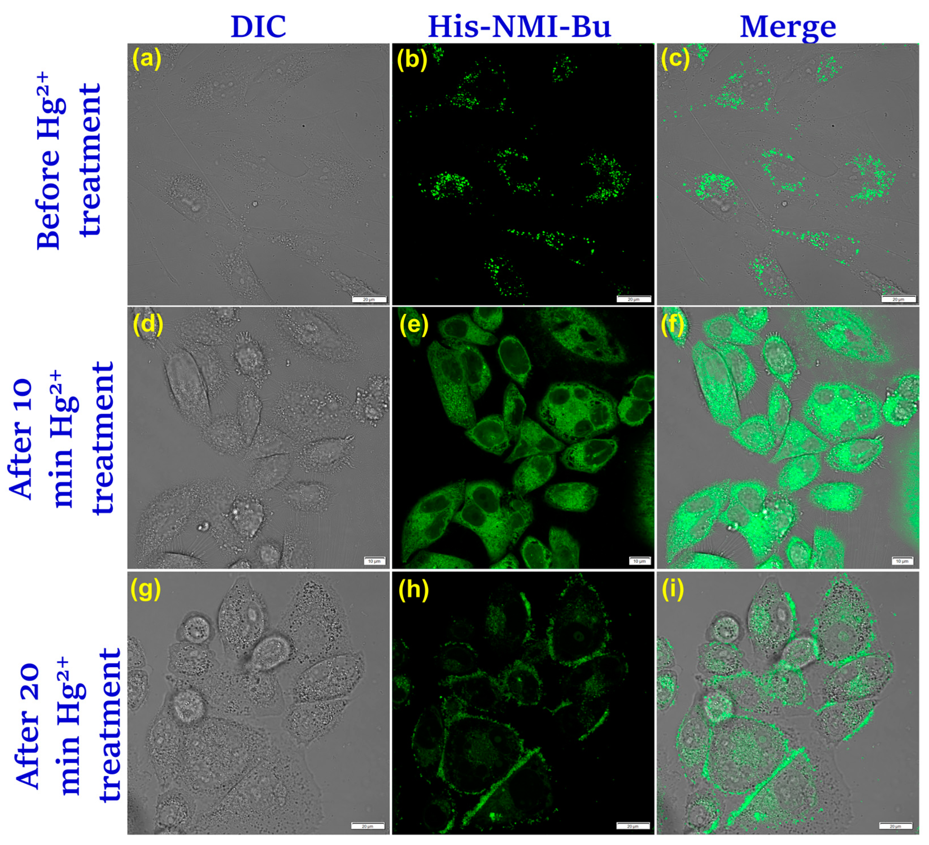 Chemosensors 11 00184 g007 Chemosensors 11 00184 g007