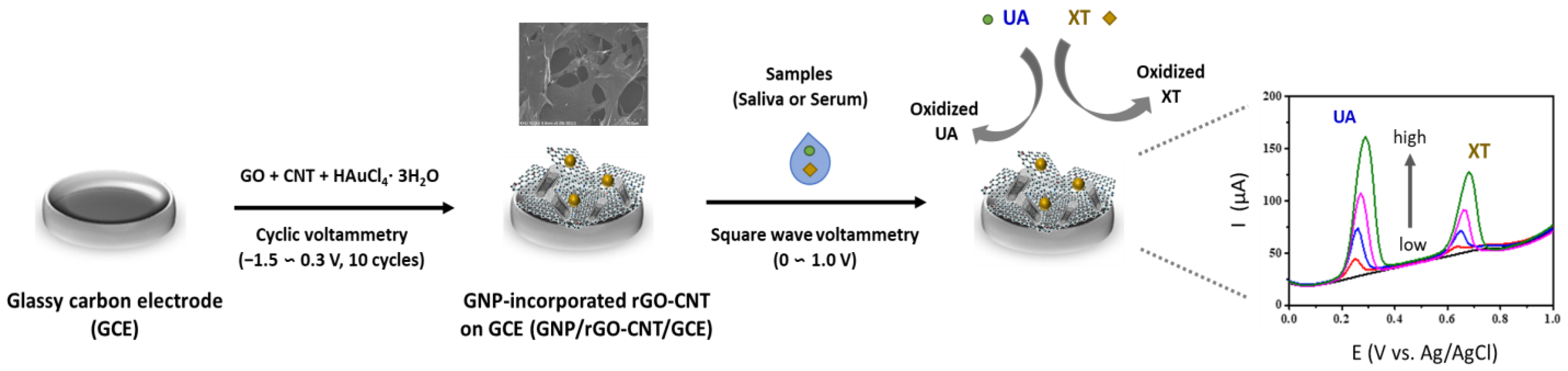 Chemosensors 11 00185 g001