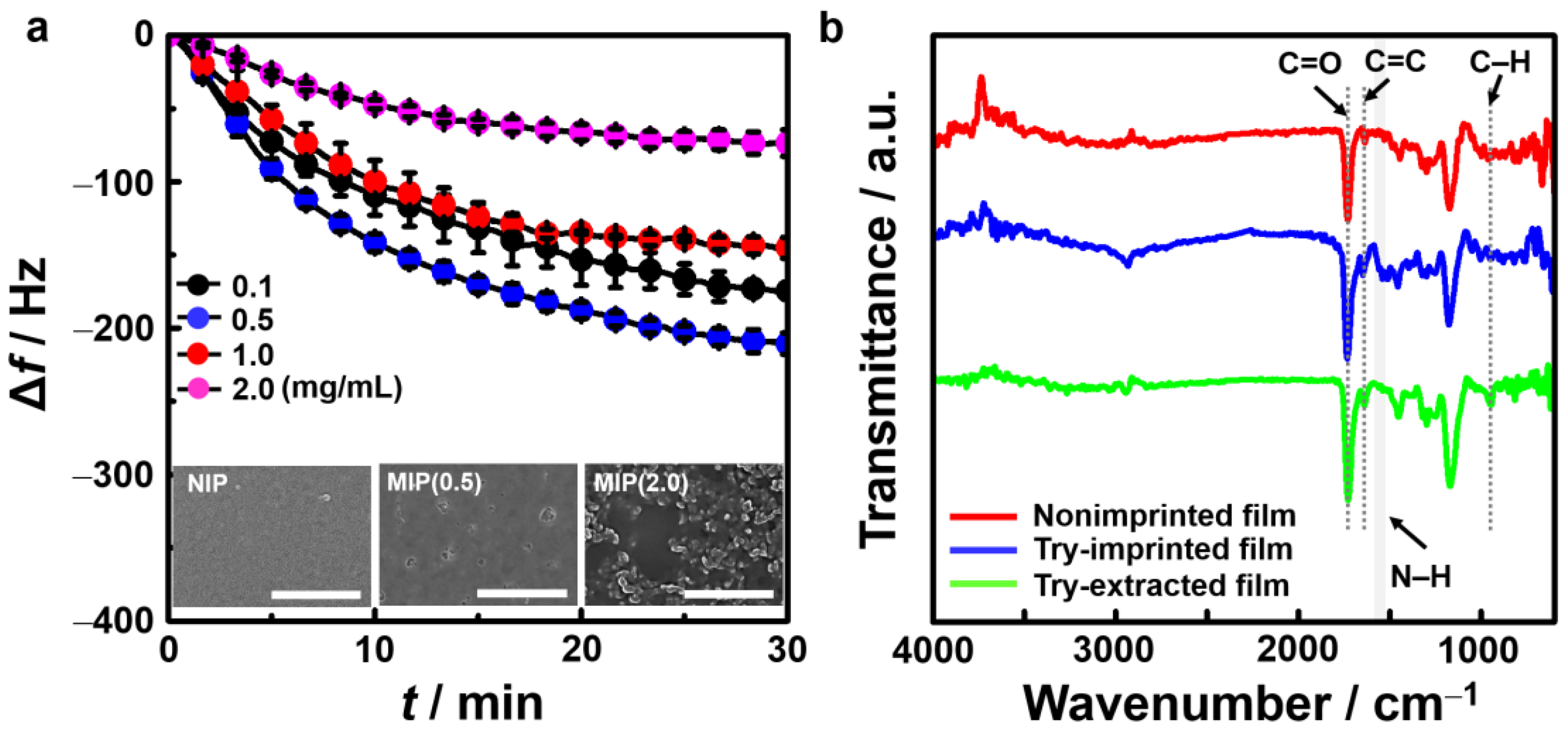 Chemosensors 11 00189 g002