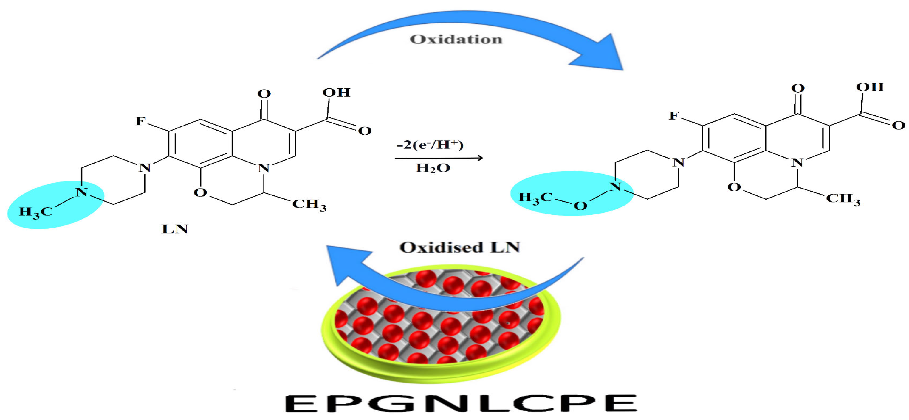 Chemosensors 11 00191 g008