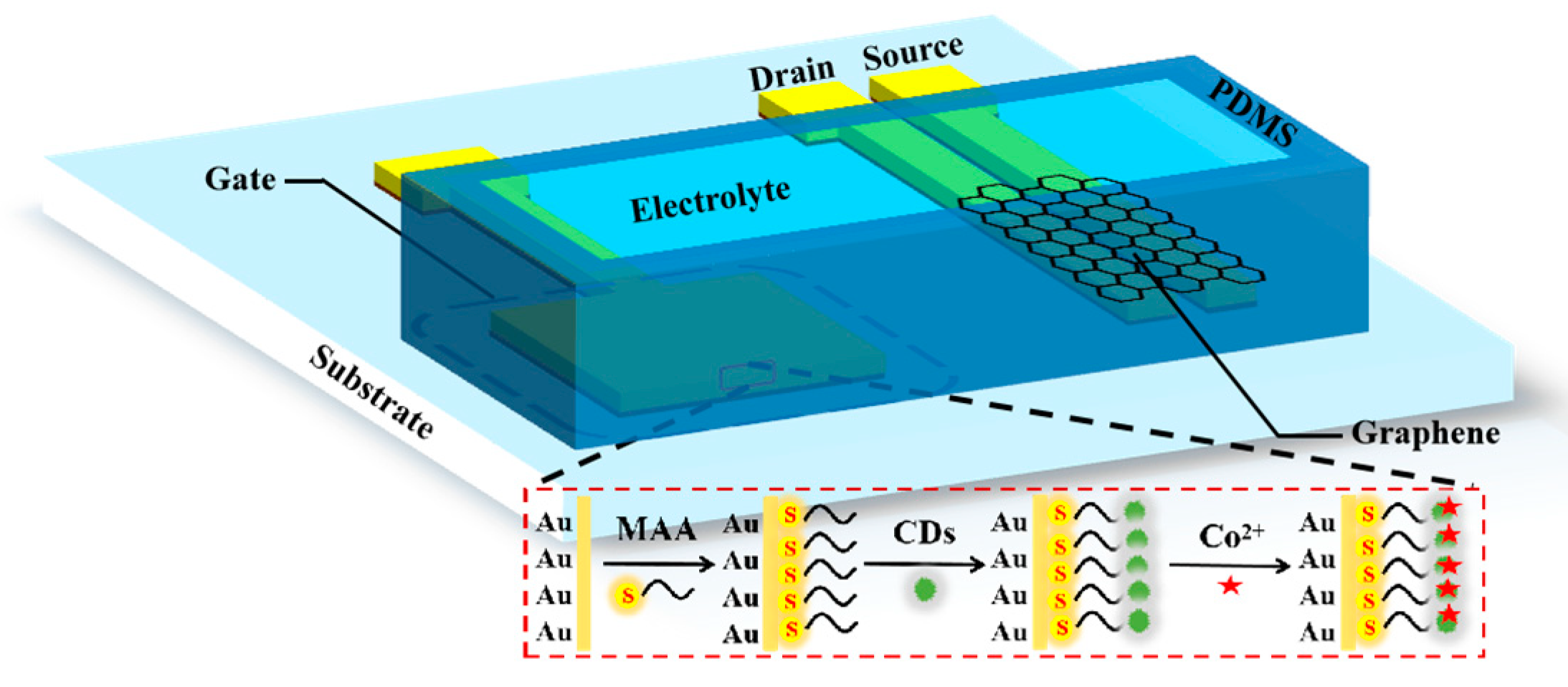 Chemosensors 11 00192 g003