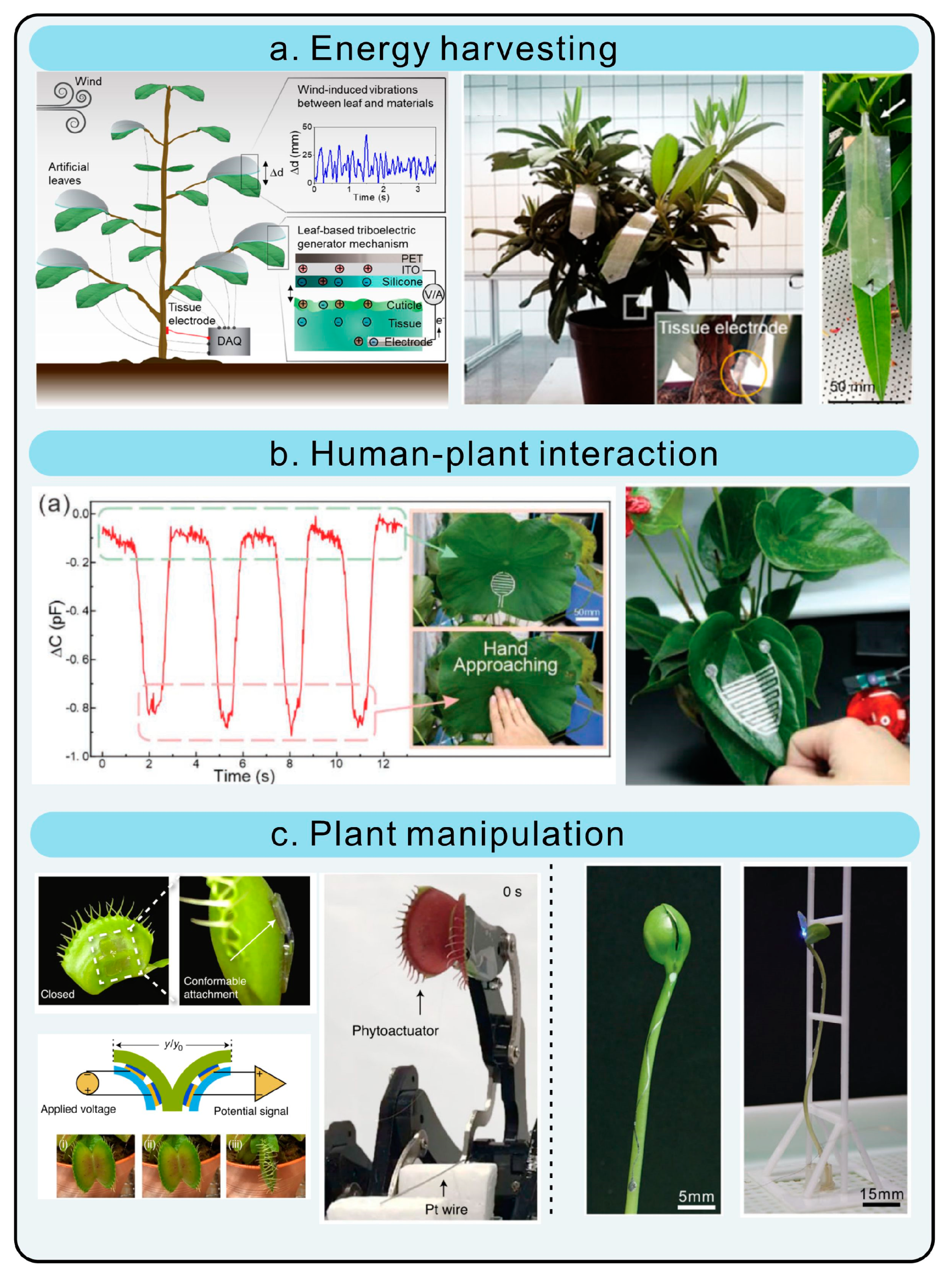 Chemosensors 11 00197 g005 Chemosensors 11 00197 g005