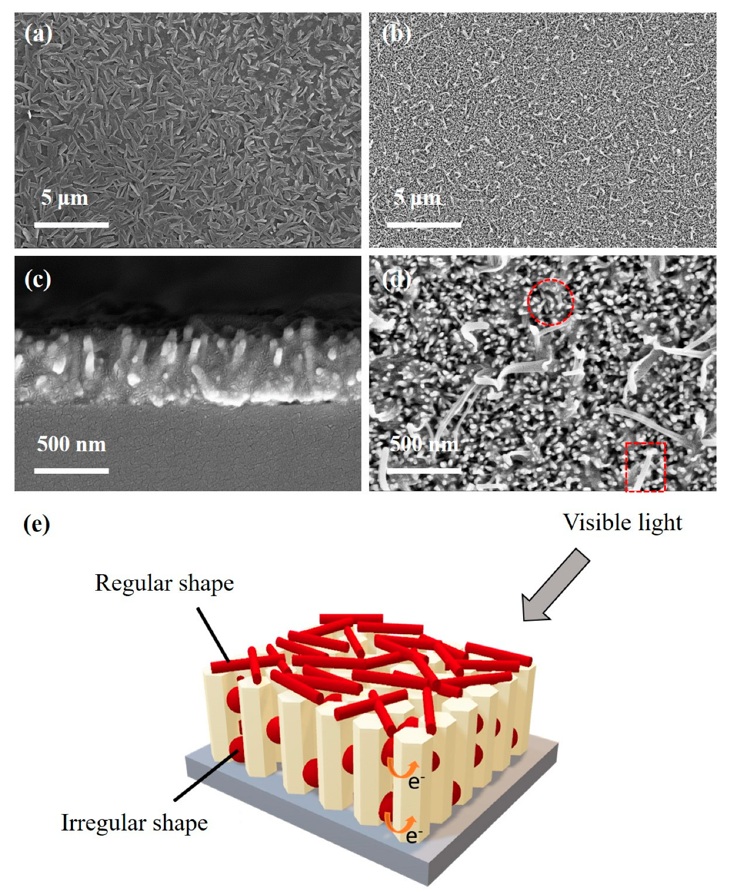 Chemosensors 11 00199 g002