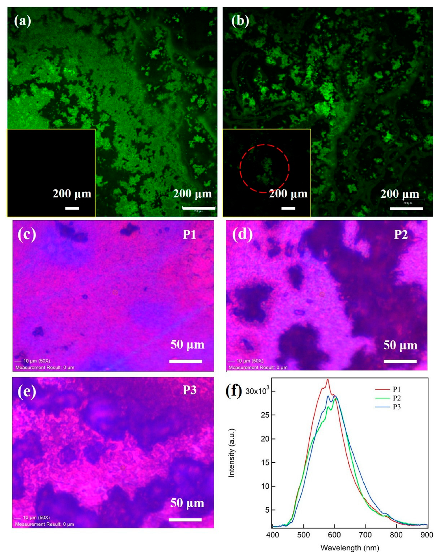 Chemosensors 11 00199 g005