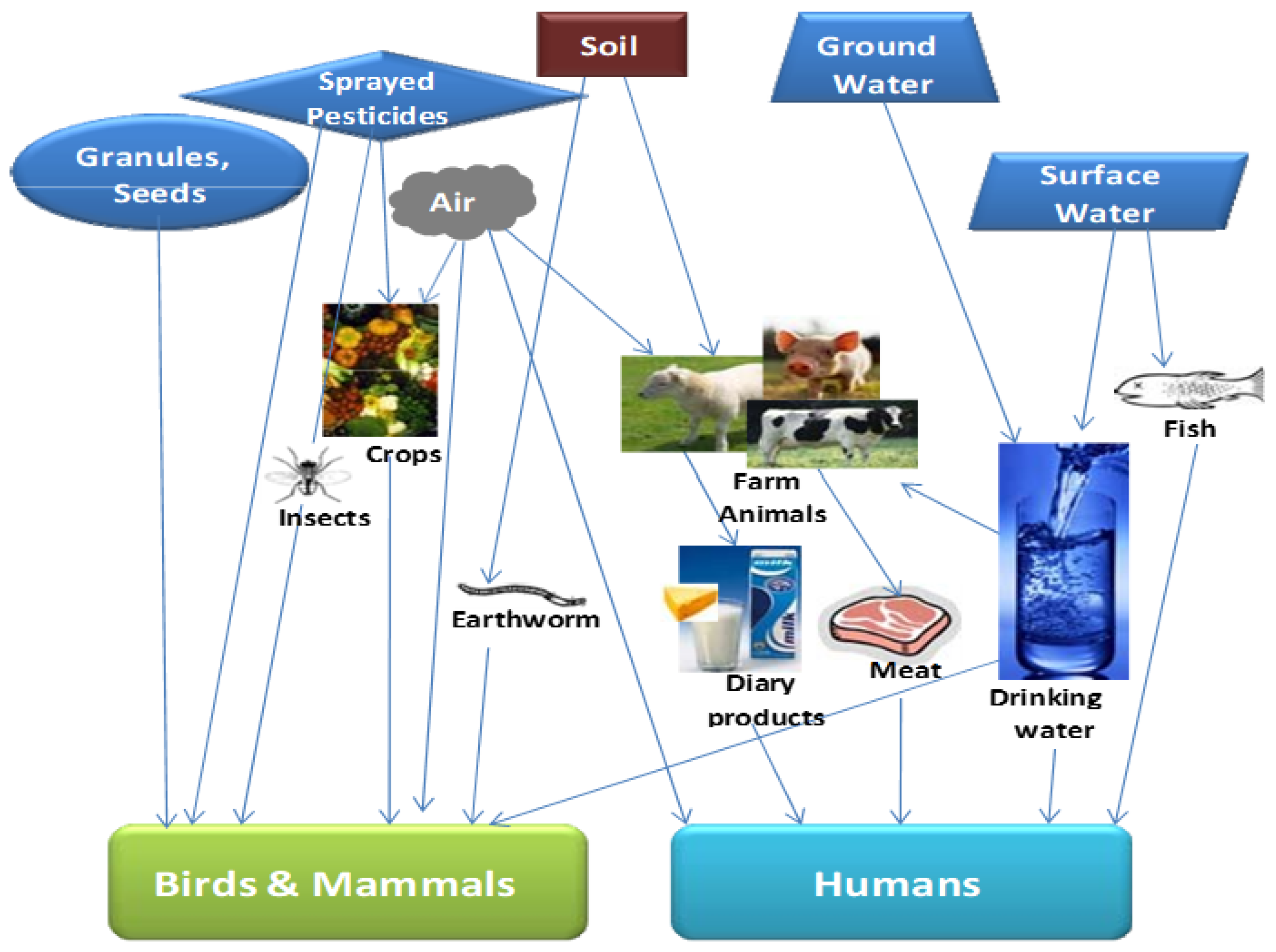 Chemosensors 11 00203 g004 Chemosensors 11 00203 g004