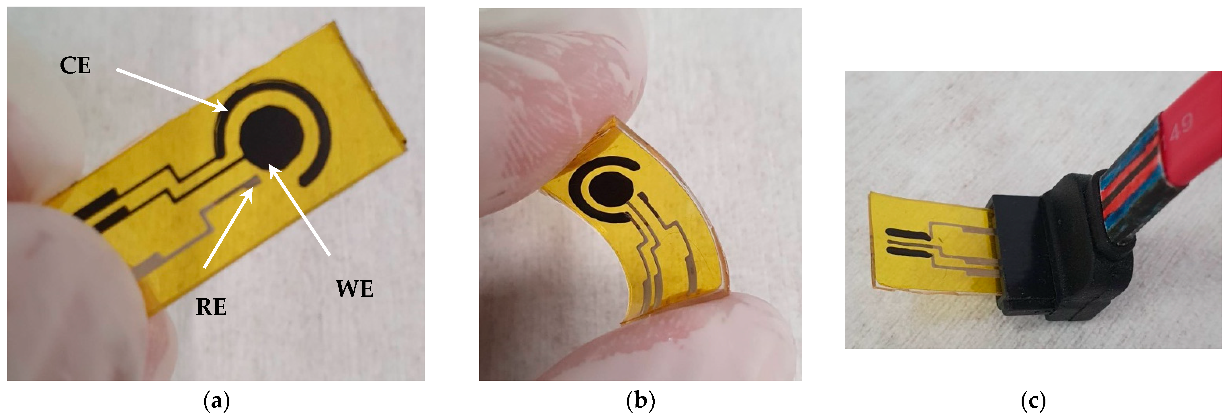 Chemosensors 11 00204 g002