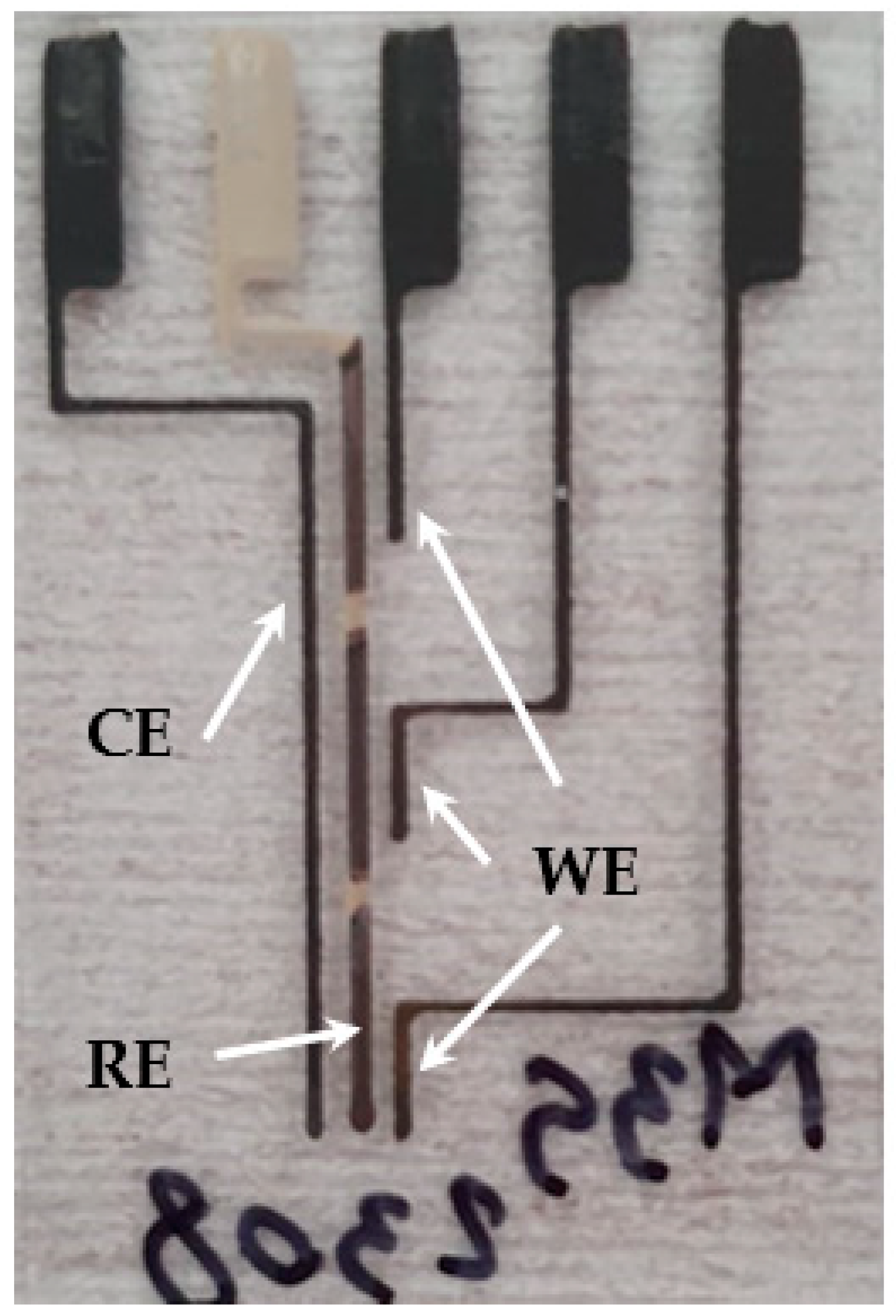Chemosensors 11 00204 g003