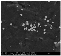 Chemosensors 11 00204 i001