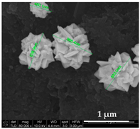 Chemosensors 11 00204 i002
