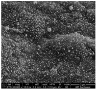 Chemosensors 11 00204 i003