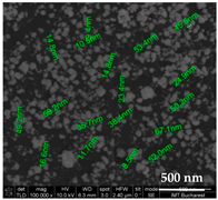 Chemosensors 11 00204 i004