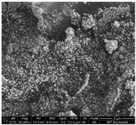 Chemosensors 11 00204 i005