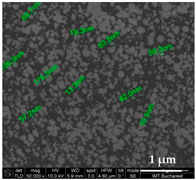 Chemosensors 11 00204 i006