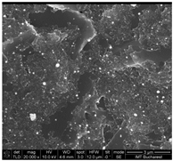Chemosensors 11 00204 i009