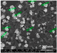 Chemosensors 11 00204 i010