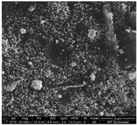 Chemosensors 11 00204 i011