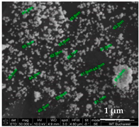 Chemosensors 11 00204 i012