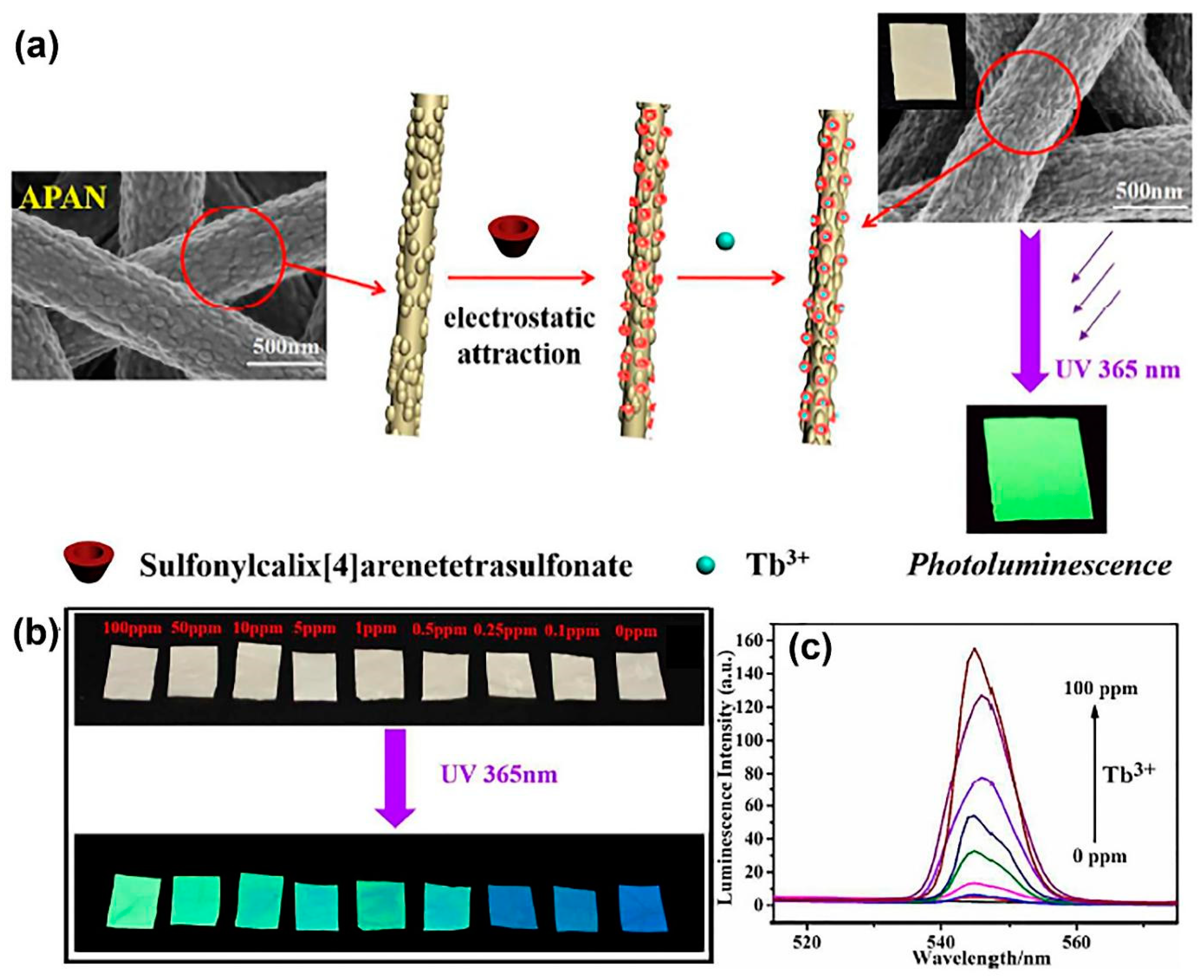 Chemosensors 11 00208 g005