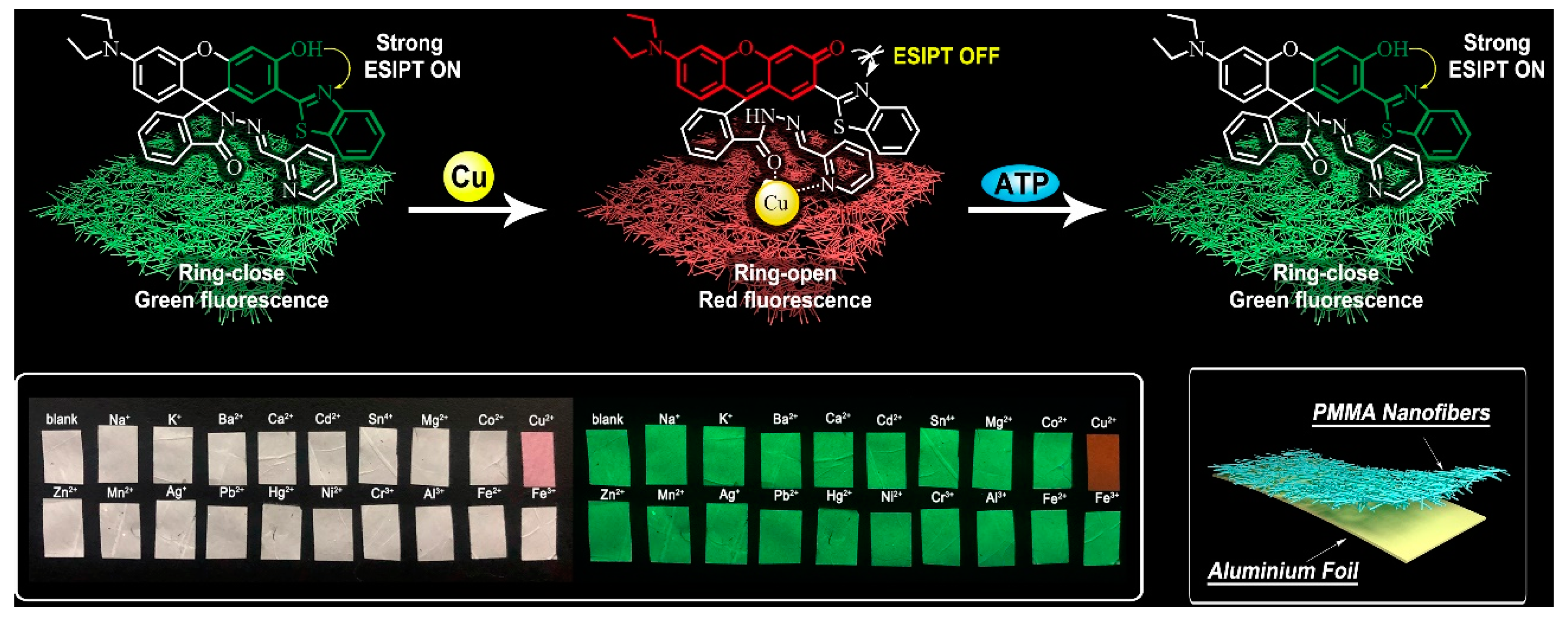 Chemosensors 11 00208 g007