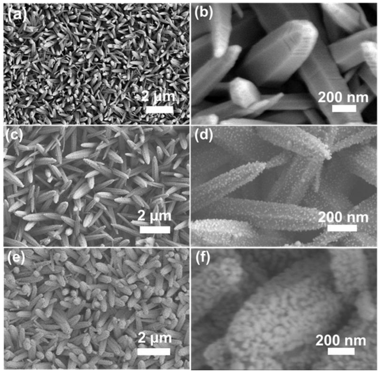 Chemosensors 11 00210 g001 Chemosensors 11 00210 g001