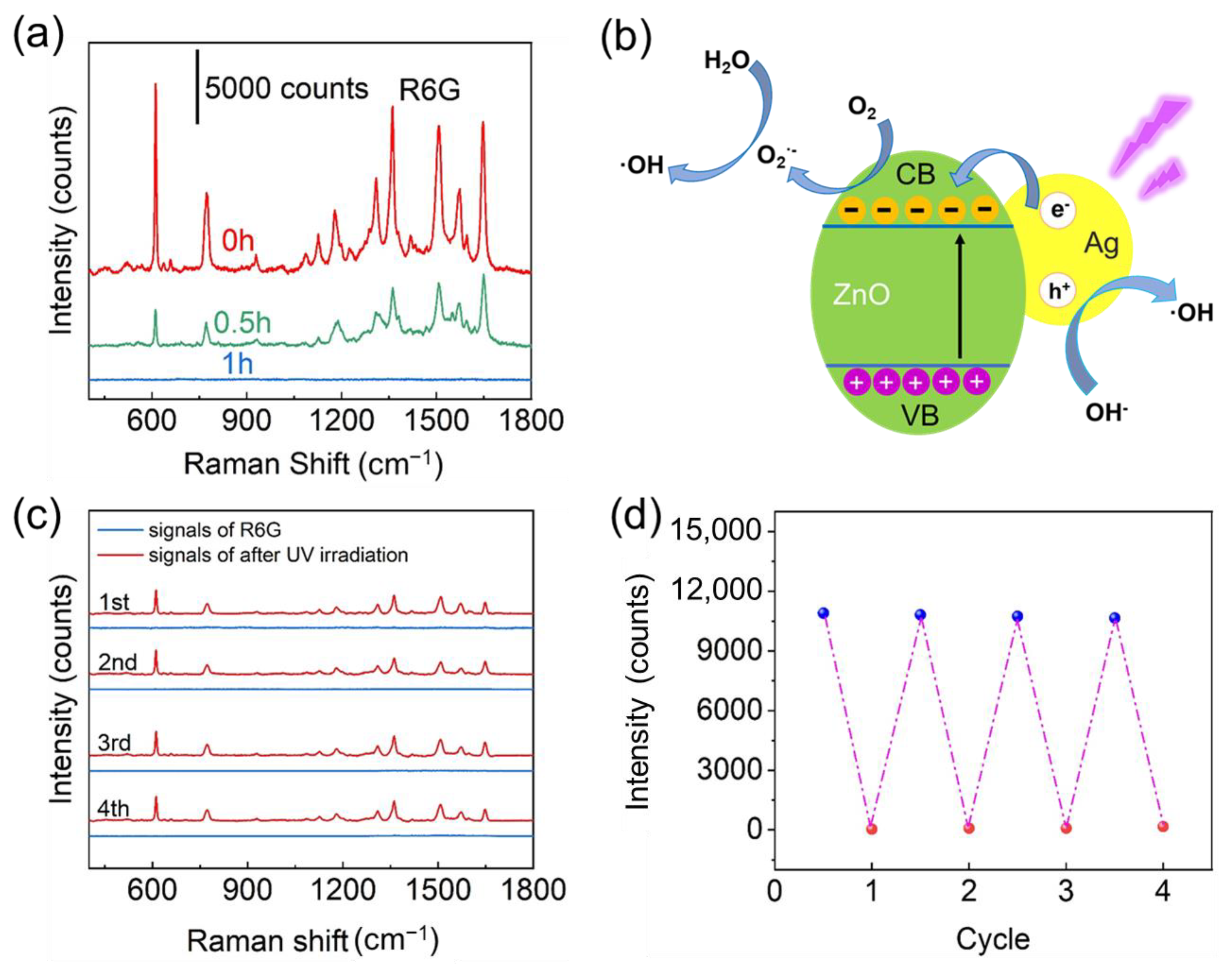 Chemosensors 11 00210 g005 Chemosensors 11 00210 g005
