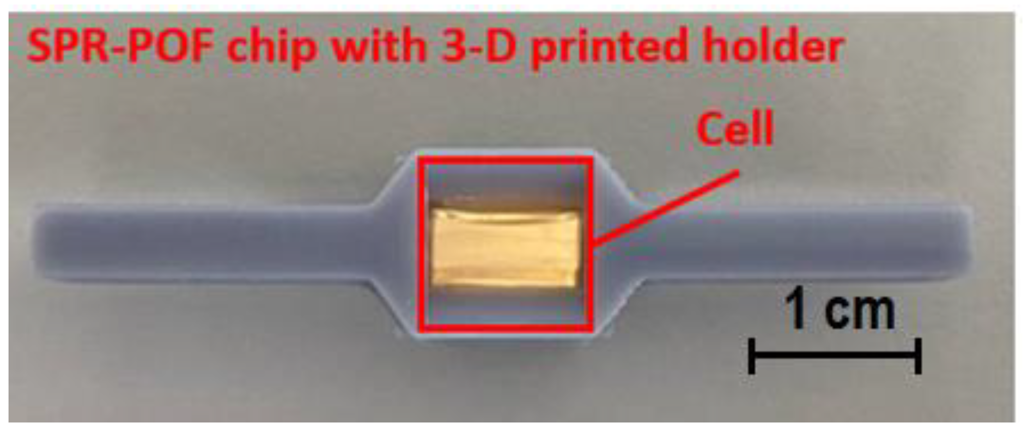Chemosensors 11 00211 g001