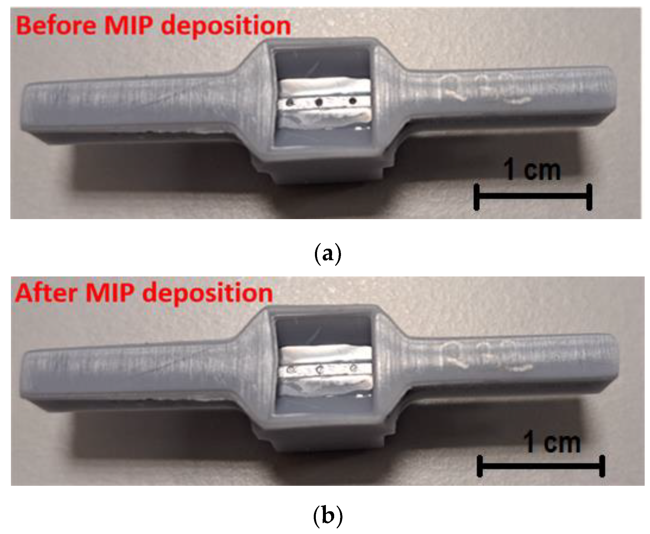 Chemosensors 11 00211 g002