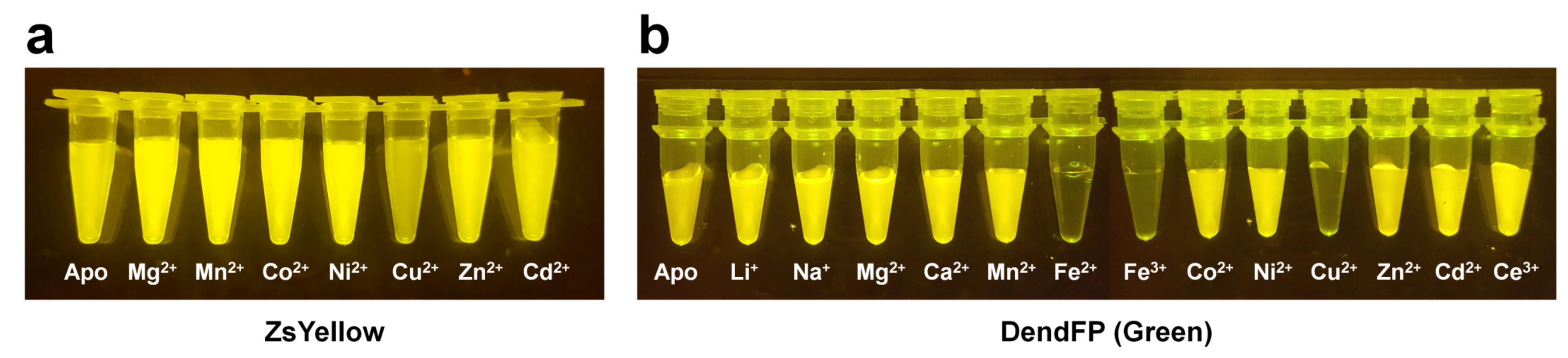 Chemosensors 11 00216 g002 Chemosensors 11 00216 g002